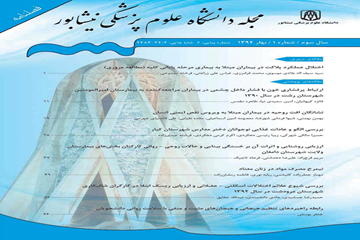 نیشابور 2